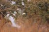 Great Egret flying away.....wow, so graceful!!!