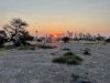 Sunset and sundowners near a watering hole
