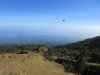 Views going down