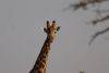 You looking at me?!!!