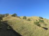 IMG_8570