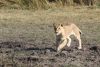 On the hunt again!!