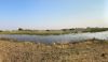 Views of the delta