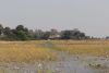 View of the Jacana Camp