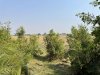 Views from our deck!!