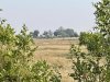 IMG_0840
