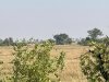 IMG_0841