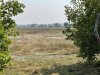 IMG_0838
