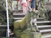 IMG_8660