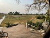 Views of the birds eating in the field in front of Jacana Camp