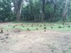 Cemetery