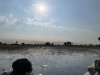Start of the afternoon game drive in the flat bottom boat!!