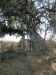 Hiding behind this tree somewhere!!