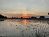 IMG_0889