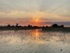 IMG_0890
