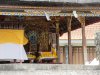 IMG_8695