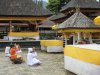 IMG_8733