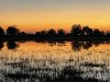 IMG_1013
