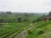 IMG_8750
