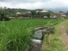 Irrigation system