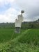 Balinese scarecrow