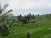 IMG_8787