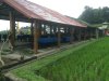 Warung.....local restaurant where we had lunch