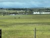 IMG_1382
