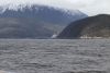 Almost to Skagway and we sight our first large cruise ship!!