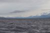 Looking north up Lynn Canal to the mountains surrounding Haines and Skagway!!