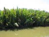 See the brown water...ugh!!!