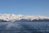 IMG_3958