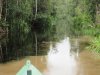 See the water change as we head up this tributary....no gold mines up river