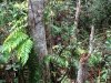 IMG_0288