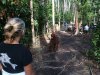 Kathy sttod very still while this mama and baby passed her by!!!