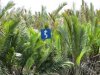 River sign