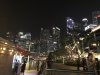 Views of the night skyline