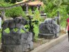 The various Buddha transport animals