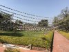 IMG_1996