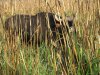 IMG_0573