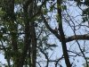 IMG_2179