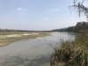 Typcial river bank scene.....but no tigers:(((
