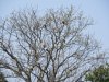 Stork condo!!!