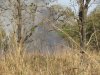 A set fire to clear the bush and encourage new grass to grow