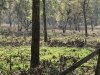 IMG_2252