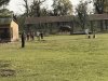Bull at the breeding center
