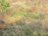 IMG_0752