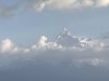 IMG_2555