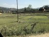 IMG_2587