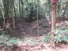 A B-52 bomb crater